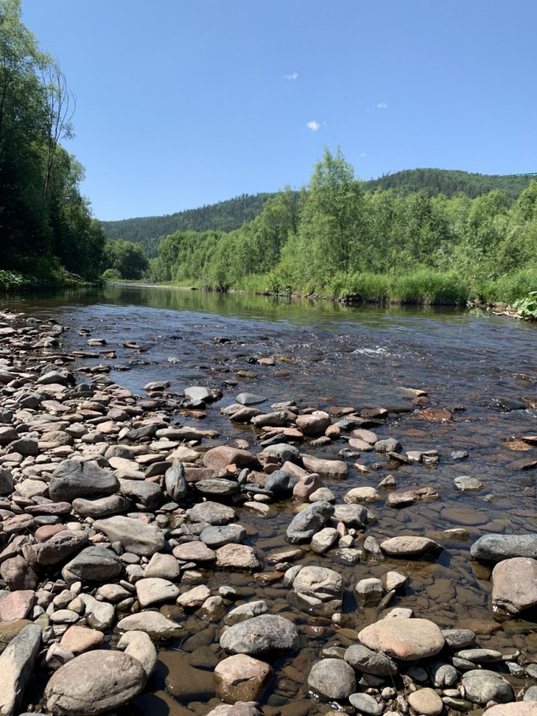 nature