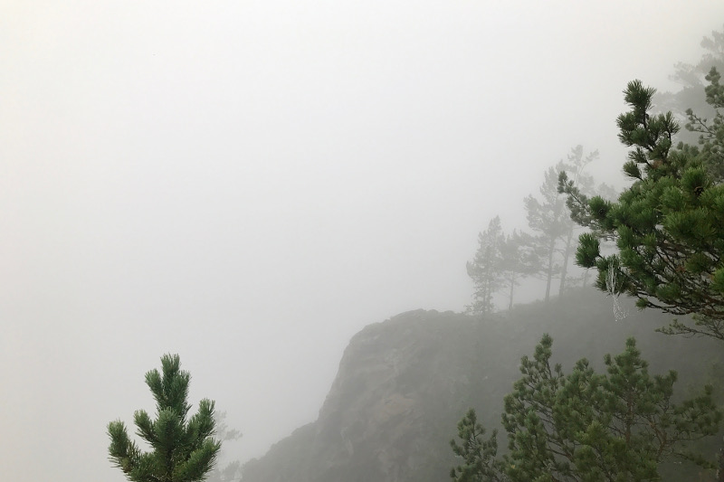 In the fog