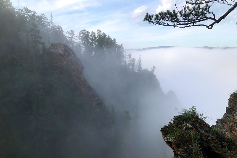 In the fog