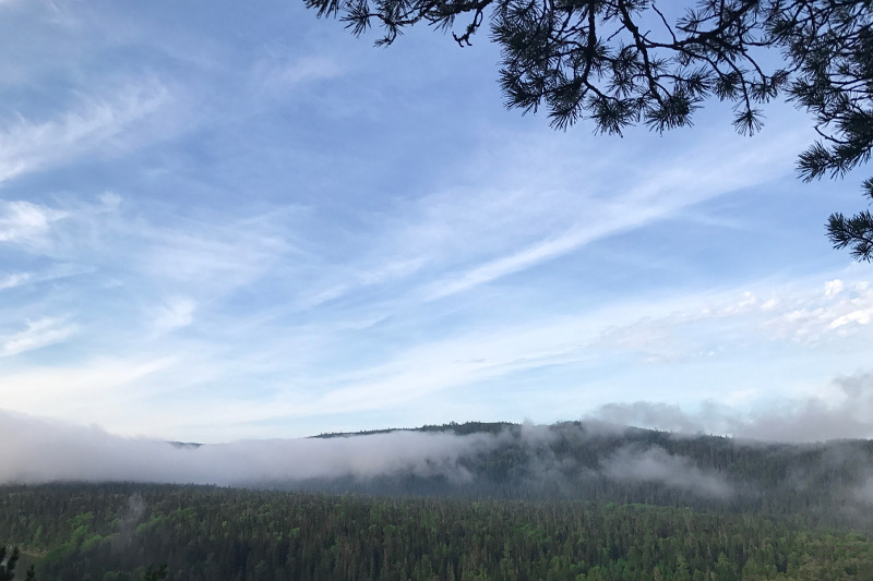 Fog over the Mana River
