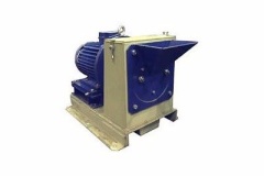 DG  250
